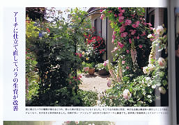 「BISES」2013年2月早春号No.82 内容 「BISES」2013年2月早春号No.82 内容